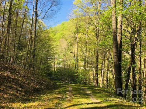60 Trillium Ln, Mars Hill, NC 28754