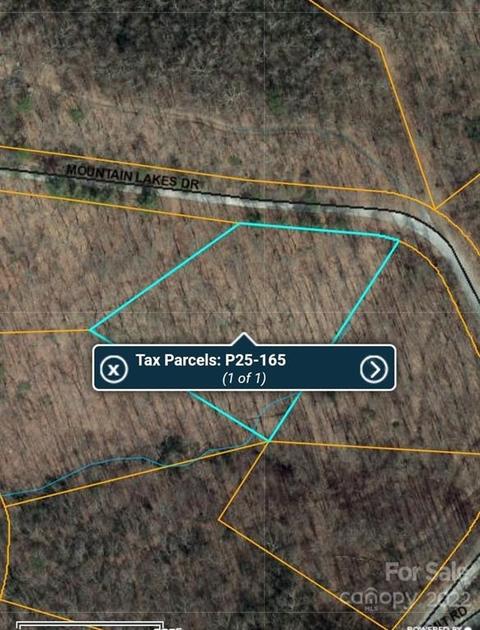 401 Mountain Lakes Drive, Tryon, NC 28782