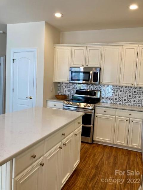 224 Twain Ave, Davidson, NC 28036 photo 3