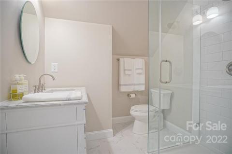 17716 Springwinds Dr, Cornelius, NC 28031 photo 45