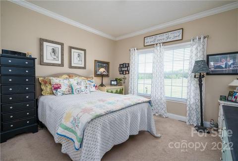 118 Waggy Tail Ln, Olin, NC 28660 photo 29