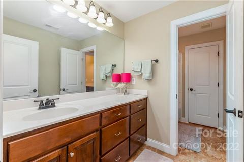 6688 Maple Spring Ct, Denver, NC 28037 photo 37