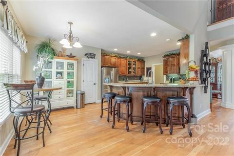 6688 Maple Spring Ct, Denver, NC 28037 photo 13