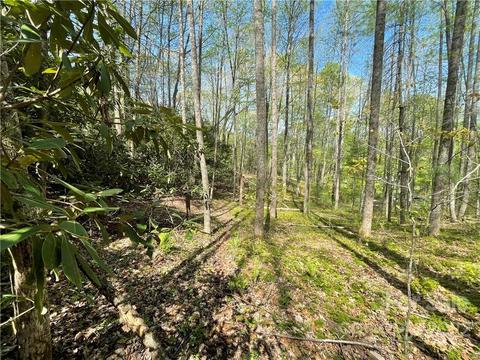 165 Rules Run Rd, Clyde, NC 28721 photo 34
