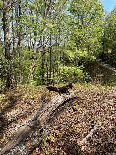 165 Rules Run Rd, Clyde, NC 28721 photo 37