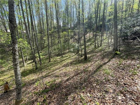 165 Rules Run Rd, Clyde, NC 28721 photo 31