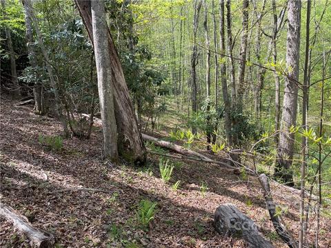 165 Rules Run Rd, Clyde, NC 28721 photo 35