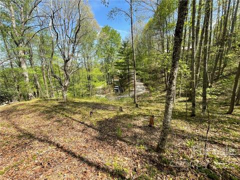 165 Rules Run Rd, Clyde, NC 28721 photo 30