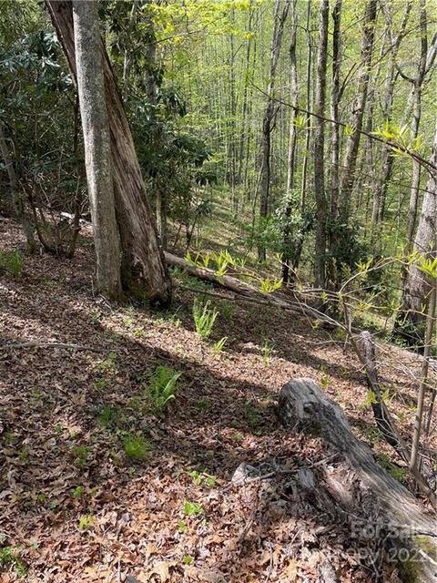 165 Rules Run Rd, Clyde, NC 28721 photo 36
