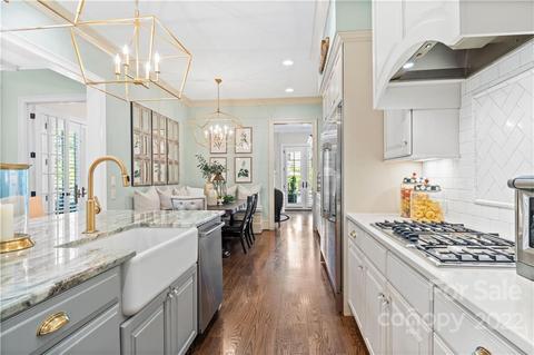 19607 Olde Spring Ct, Cornelius, NC 28031 photo 14