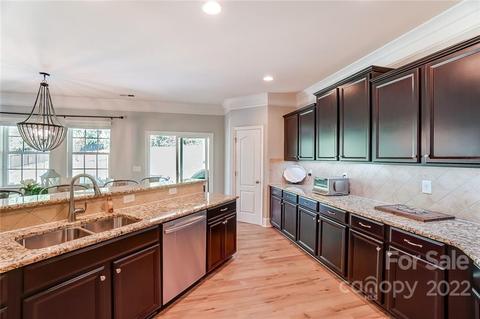 10683 Sapphire Trl, Davidson, NC 28036 photo 16