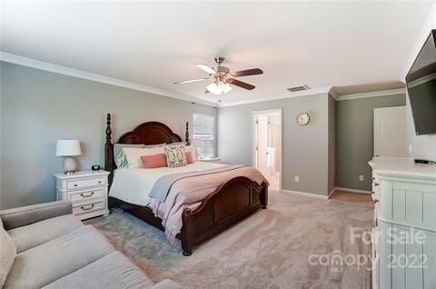10683 Sapphire Trl, Davidson, NC 28036 photo 23