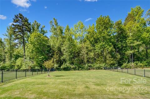 10683 Sapphire Trl, Davidson, NC 28036 photo 37