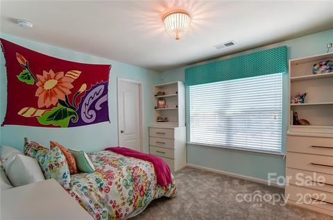 10683 Sapphire Trl, Davidson, NC 28036 photo 27