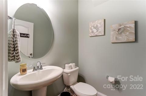 10683 Sapphire Trl, Davidson, NC 28036 photo 18