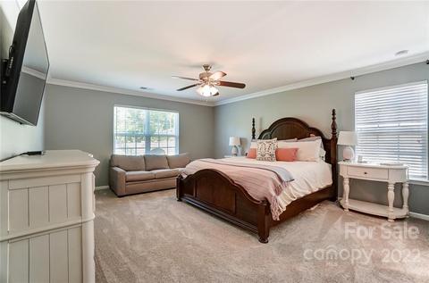10683 Sapphire Trl, Davidson, NC 28036 photo 22