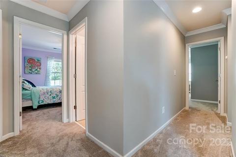 10683 Sapphire Trl, Davidson, NC 28036 photo 19