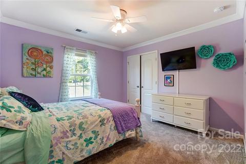 10683 Sapphire Trl, Davidson, NC 28036 photo 30