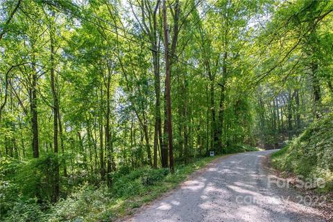 00 Laurel Haven 12 Pt Rd #1&2 PT, Fairview, NC 28730