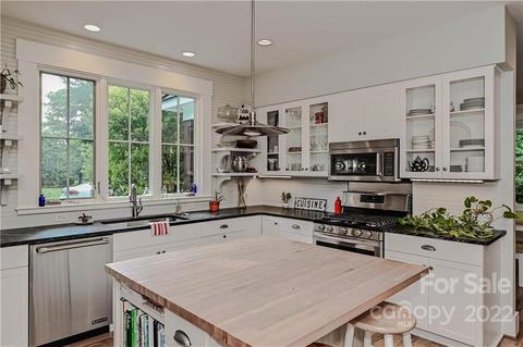 415 Goodrum St, Davidson, NC 28036 photo 8