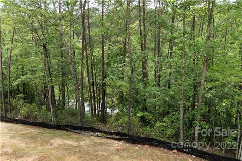 148 Indian Summer Ln, Mill Spring, NC 28756 photo 39