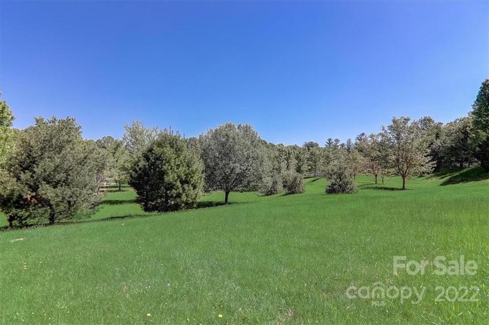  287 Williams Meadow Loop, Hendersonville, NC 28739 photo 47