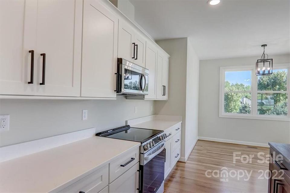  287 Williams Meadow Loop, Hendersonville, NC 28739 photo 23