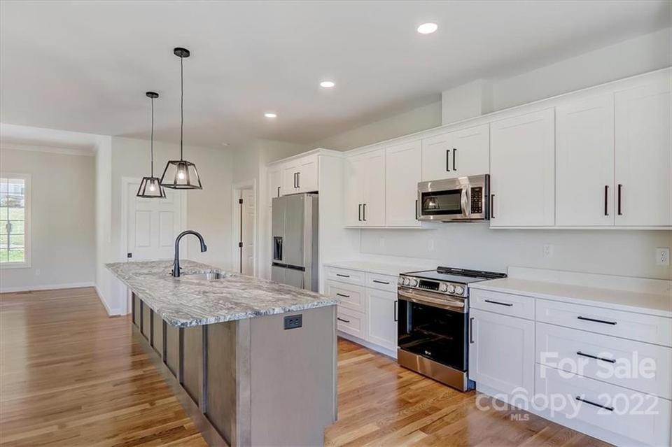  287 Williams Meadow Loop, Hendersonville, NC 28739 photo 21