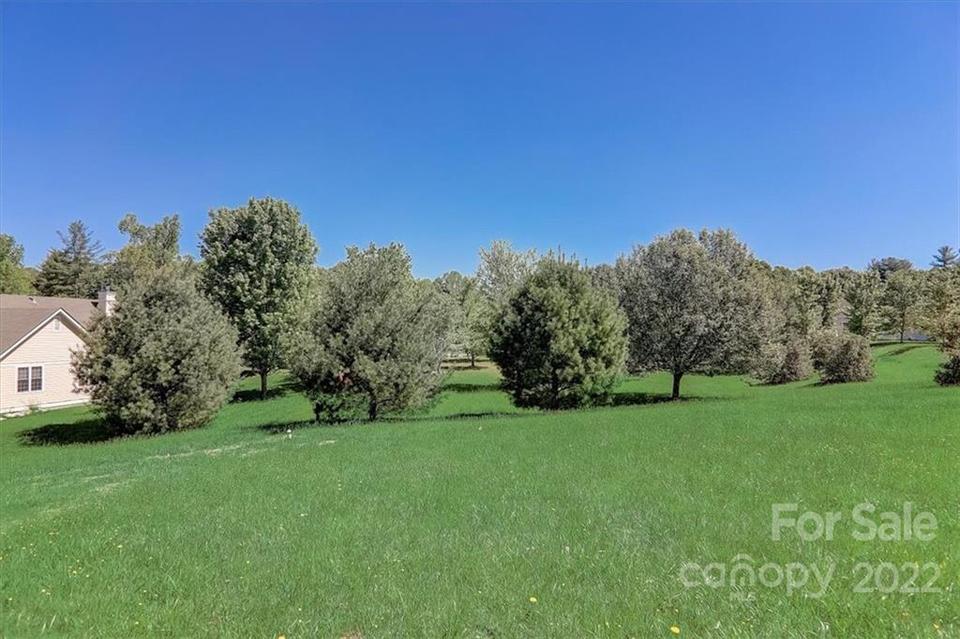  287 Williams Meadow Loop, Hendersonville, NC 28739 photo 48