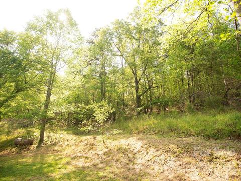 830 Bill Jackson Rd, Mill Spring, NC 28756 photo 9