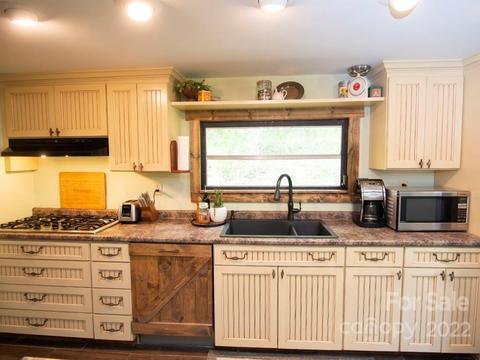 830 Bill Jackson Rd, Mill Spring, NC 28756 photo 23