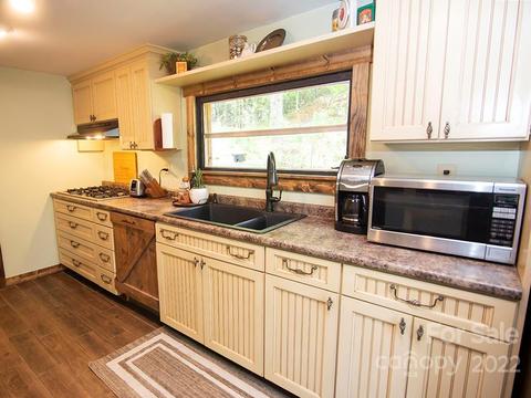 830 Bill Jackson Rd, Mill Spring, NC 28756 photo 22