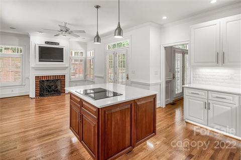 21309 Araglin Ct, Cornelius, NC 28031 photo 12