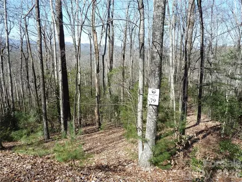 79 Peppervine L79 Cir #L79, Rosman, NC 28772