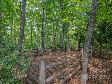 563 Fox Run Ln, Tryon, NC 28782 photo 40