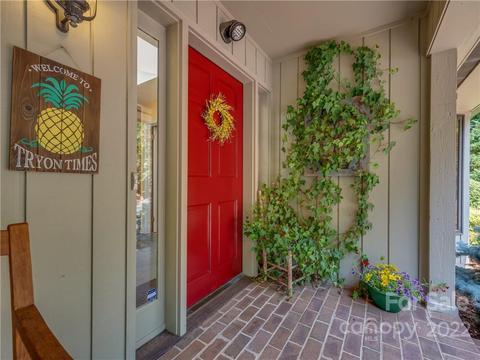 563 Fox Run Ln, Tryon, NC 28782 photo 7