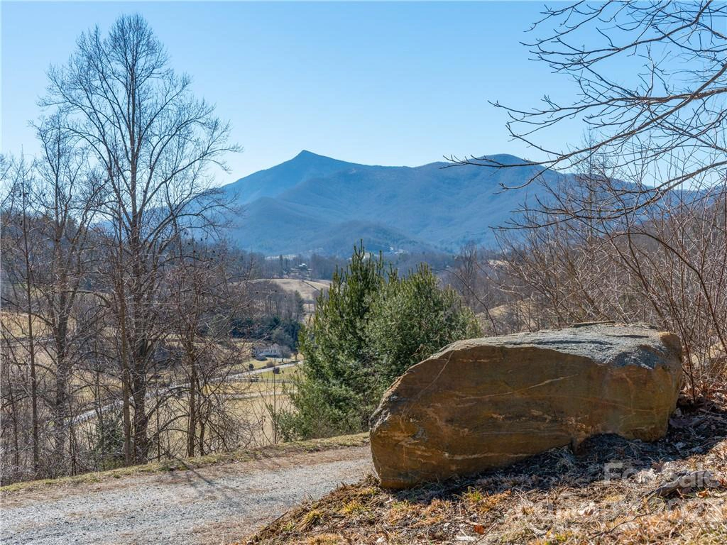 0 Locust Rough Lot 1 Rd Unit Lot 1