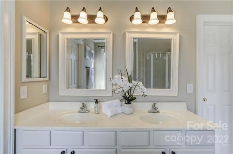 329 Elis Way, Fort Mill, SC 29708 photo 31
