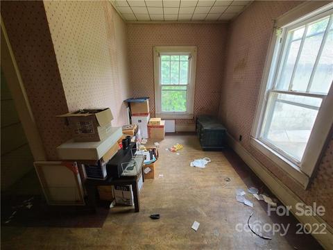 217 Pine St, Lincolnton, NC 28092 photo 38