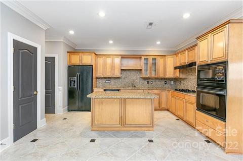 152 Harper Lee St, Davidson, NC 28036 photo 9