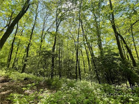 0000 Big Branch 53 Rd #53, Brevard, NC 28712