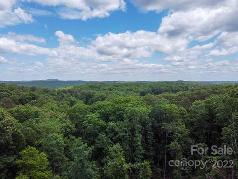 128 Fox Covert Ln, Tryon, NC 28782 photo 27