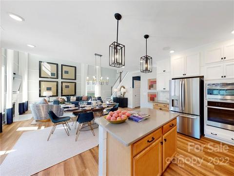 17432 Summers Walk Blvd, Davidson, NC 28036 photo 2