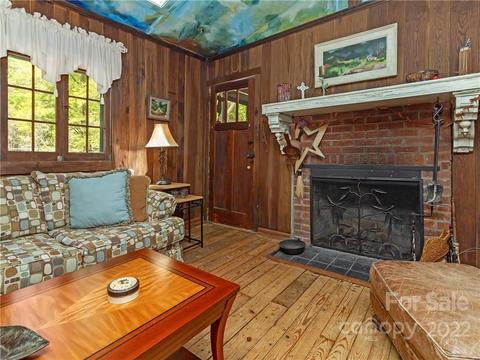 59 Emrys Dr, Cedar Mountain, NC 28718 photo 13