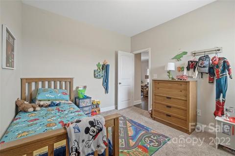 3269 Evondale Rd, Crouse, NC 28033 photo 28