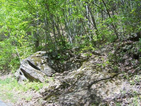 000 Winding Creek 290 Dr #290, Waynesville, NC 28786