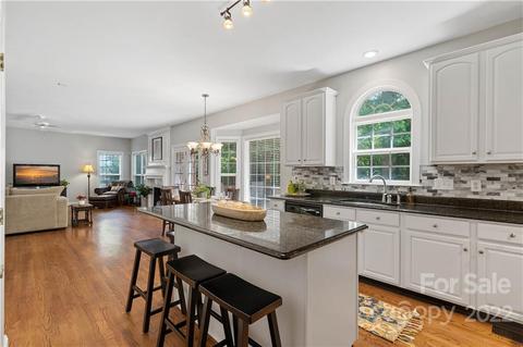 22116 Satilla Dr, Cornelius, NC 28031 photo 22