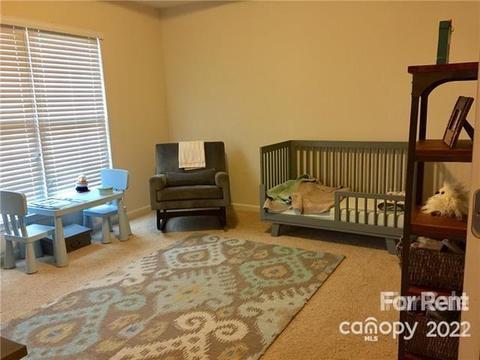 827 Granby Dr, Fort Mill, SC 29708 photo 10