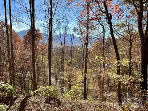 11 Trout Lily 11 Ln #11, Maggie Valley, NC 28751