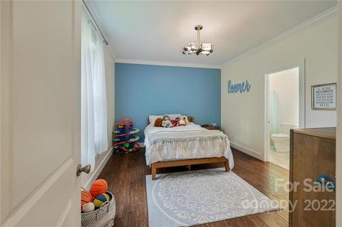 161 Snooks Path, Mars Hill, NC 28754 photo 13